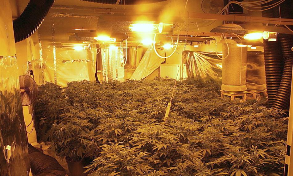 2010-8-18-1117 01 .jpg